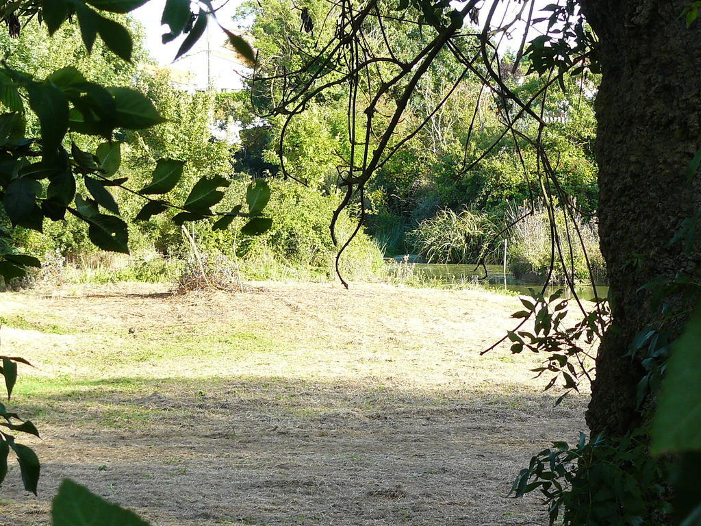 Les Plenitudes Du Rivage Saint-Vincent-sur-Jard